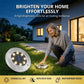 🎁Köp 2 få 1 gratis🔥8-LED solcellsdrivna marklampor för trädgård utomhus