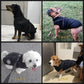 🔥🎁Nyhet 50 % RABATT🔥🐾Vattentät vinterjacka för hund med inbyggd sele