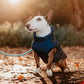🔥🎁Nyhet 50 % RABATT🔥🐾Vattentät vinterjacka för hund med inbyggd sele