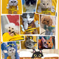 🐱 50 % RABATT NU! 🐝 Cute dew head shape cat bag – söt, bekväm & bärbar – perfekt för att transportera katter överallt 💗