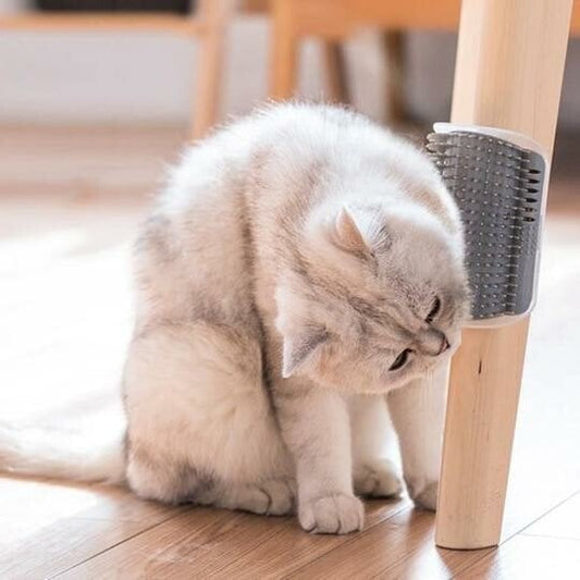 🎁Köp 2 få 1 gratis🔥Katt Självfrisör Katter Vägghörnmassage Kattkamborste gnuggar ansiktet med en kittlande kam Husdjursvårdsmaterial