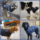🔥🎁Nyhet 50 % RABATT🔥🐾Vattentät vinterjacka för hund med inbyggd sele