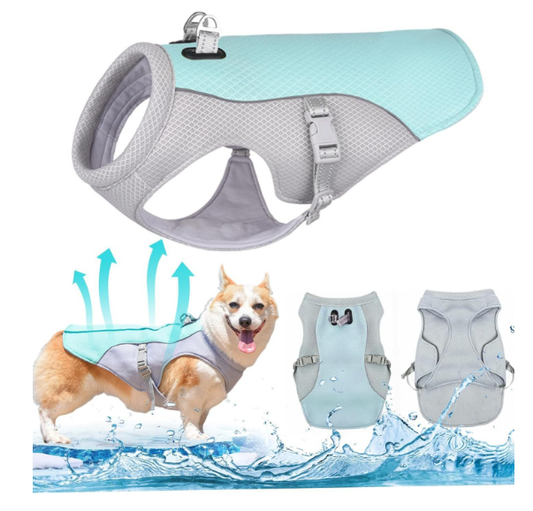 🐶❄️ 50% RABATT | Kylande isväst för hundar – Hjälper din hund att hålla sig sval i sommar ☀️