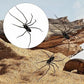 🧲 50% RABATT! 🕷️ Realistiska Spindelmagneter – Stark hållkraft, för Kylskåp, Dörrar & Dekoration 🚗