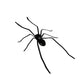 🧲 50% RABATT! 🕷️ Realistiska Spindelmagneter – Stark hållkraft, för Kylskåp, Dörrar & Dekoration 🚗