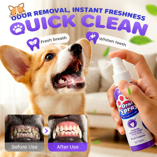 🔥🥳🦷 Tandrengöringsspray för husdjur 🐶🐱