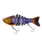 🎣 50 % RABATT! 🐟 Flersegmenterad bionisk simbete