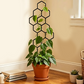 🌿 50% RABATT NU! 🐝 Bikakeformat Växtspaljé – Rostskyddad, Stapelbar & Enkel Installation – Perfekt För Inomhusklättrande Lianer 🏡