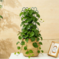 🌿 50% RABATT NU! 🐝 Bikakeformat Växtspaljé – Rostskyddad, Stapelbar & Enkel Installation – Perfekt För Inomhusklättrande Lianer 🏡