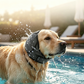 🛒🎁Köp 2 få 1 gratis🔥🐶 Vattentät lugnande luvtröja för hund – Mjuk & Andningsbar – Perfekt för Promenader, Åskväder & Resor 🌿