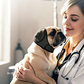 🛒🎁Köp 2 få 1 gratis🔥🐶 Vattentät lugnande luvtröja för hund – Mjuk & Andningsbar – Perfekt för Promenader, Åskväder & Resor 🌿