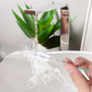 🔥🎁Nyhet 50 % RABATT🔥Rengöringsverktyg för bilens takluckas dränering – flexibel rörborste