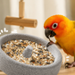 🐦 Köp 1, få 1 gratis! ✨2-i-1 fågelmatare och näbbfil i vulkanisk sten – praktisk och hållbar 🌋