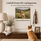 🔥🎁Köp 2 få 1 gratis🔥Rolig väggkalender med djurkulor