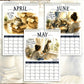 🐱🔥 50 % RABATT! 2027 A Cats Life väggkalender – söta kattbilder för varje månad, stort datumrutnät, helgdagar markerade, tjockt papper, inredningsdetalj för hemmet och kontoret som kan hängas var som helst ✨