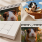 ☀️ 50 % RABATT🐹 Ett helt år med söta marsvin – charmig väggkalender